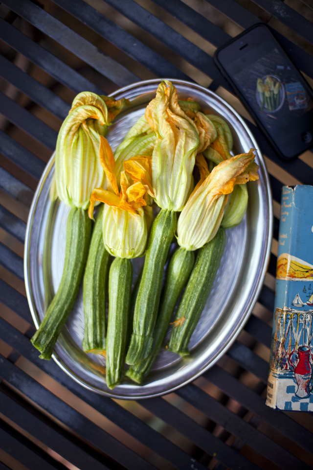 Courgette Flowers_5