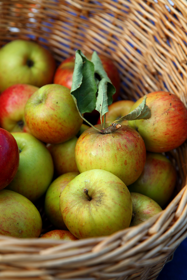 Autumn Nesting and Sticky Maple, Apple and Cinnamon Cake! - Donal ...